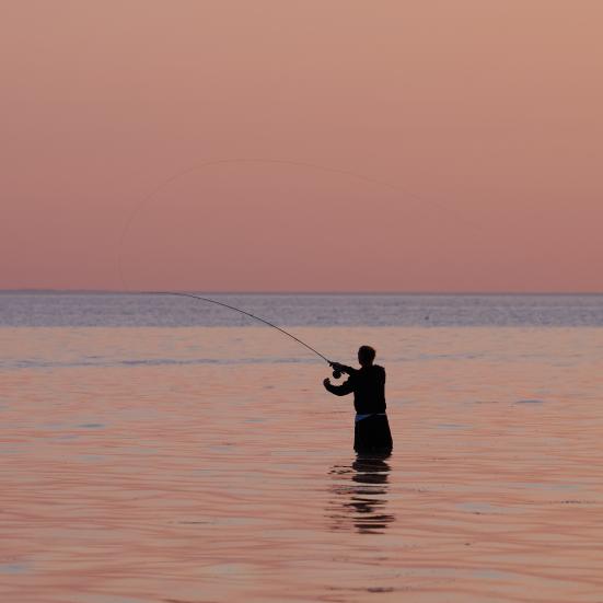 Lystfisker i havet